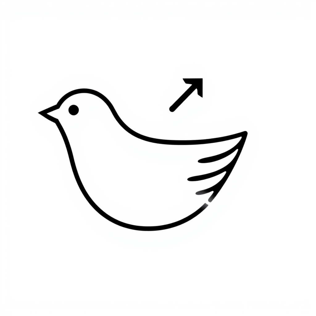 Xquik Twitter Data Export API