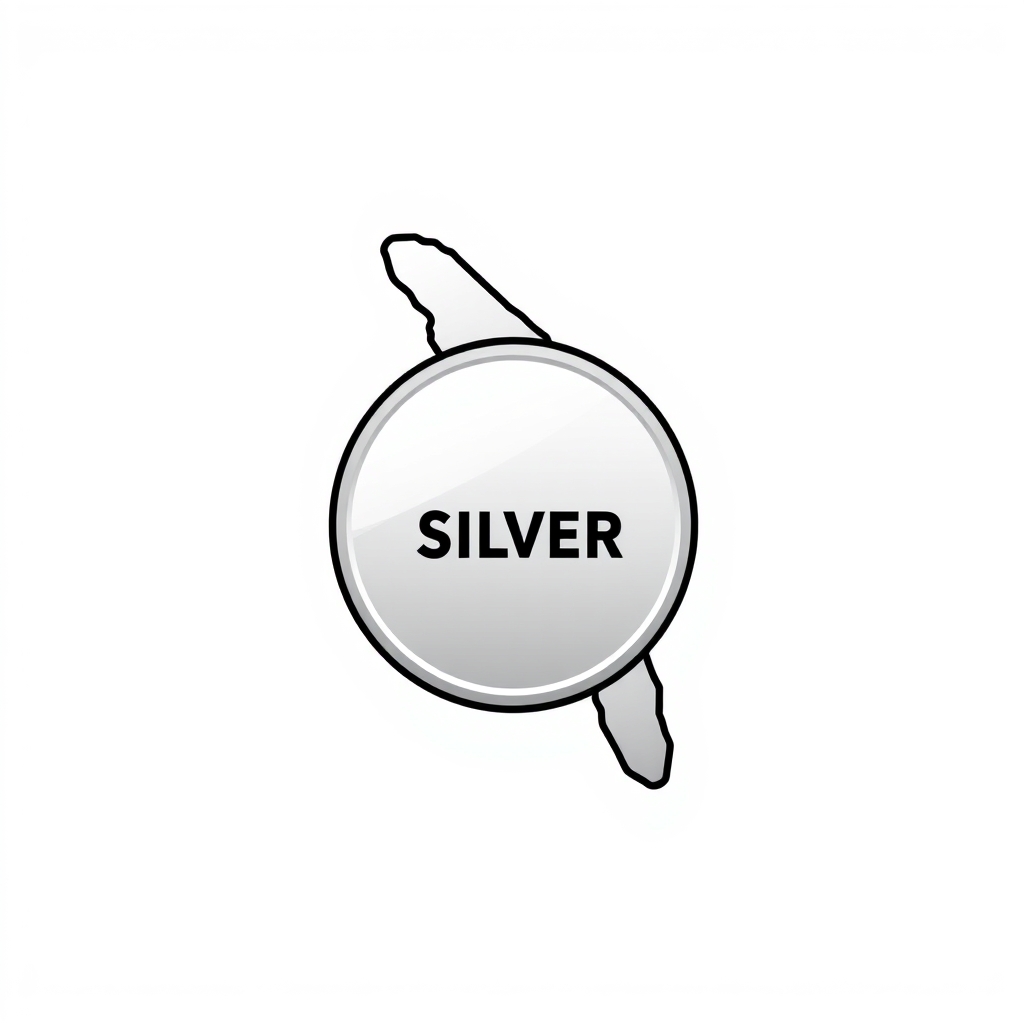 Kerala Silver Rates Capture API